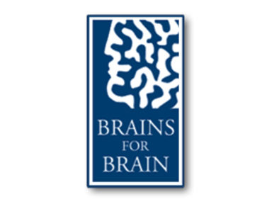 Brains_4_Brain