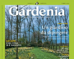 gardenia-22-5-06
